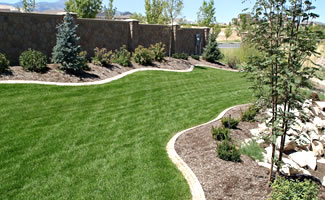 Residential Turfgrass