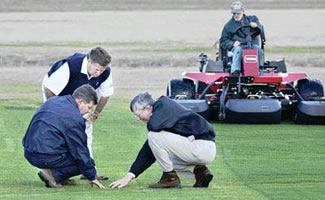 Turf for the 2005 Super Bowl in Jacksonville, Florida