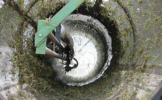 Washing Turf